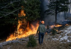 CALIFORNIA UTILITIES SHUT OFF POWER IN 'EXTREMELY WINDY WEATHER